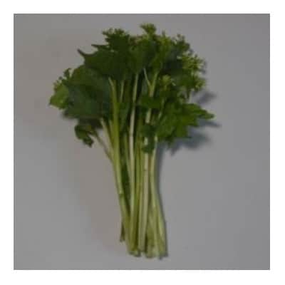 龍泉洞花わさび 計300g 岩泉町産