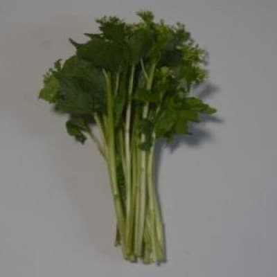 龍泉洞花わさびふすぺ 計250g