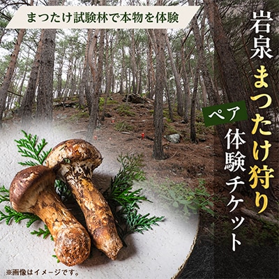岩泉まつたけ狩り体験チケット