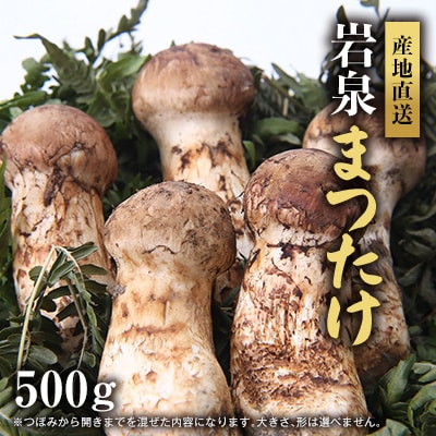 岩泉まつたけ 直送 500g