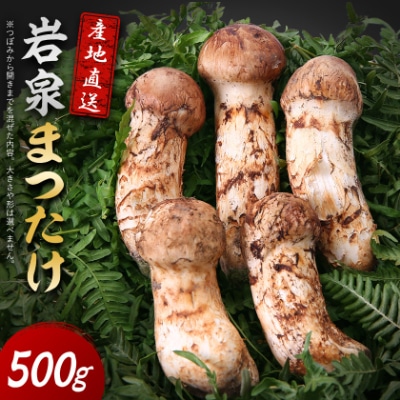 岩泉まつたけ 直送 500g
