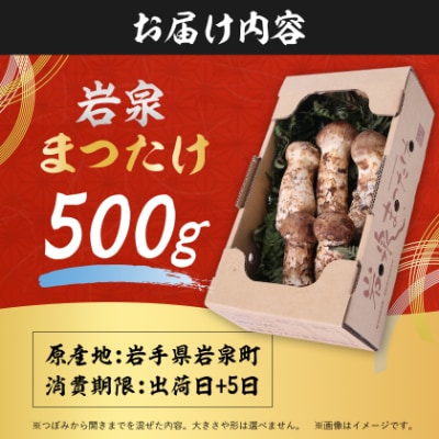 岩泉まつたけ 直送 500g