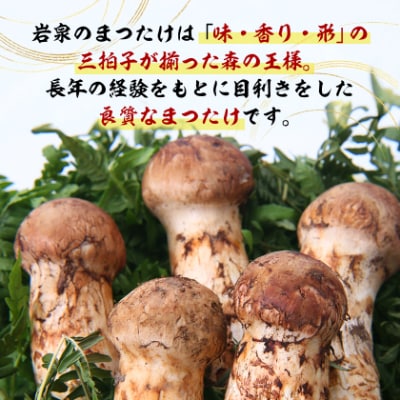 岩泉まつたけ 直送 300g