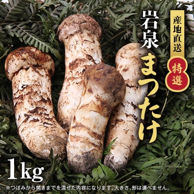 【特選】岩泉まつたけ 直送 1kg