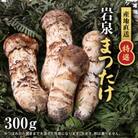 【特選】岩泉まつたけ 直送 300g