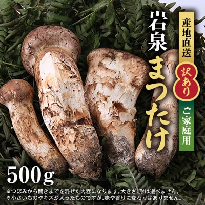 【訳あり】ご家庭用 岩泉まつたけ 直送 500g