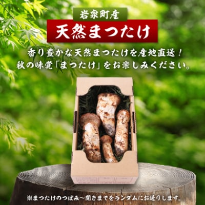 【訳あり】ご家庭用 岩泉まつたけ 直送 500g
