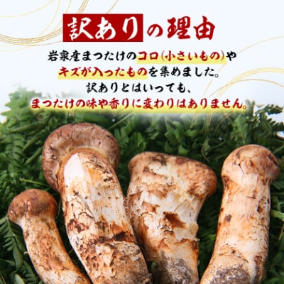 【訳あり】ご家庭用 岩泉まつたけ 直送 500g