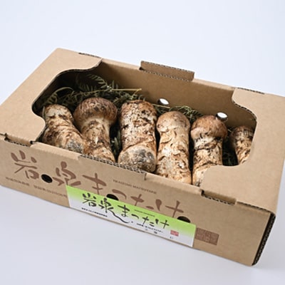 岩泉まつたけ 300g