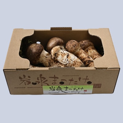 岩泉まつたけ 500g