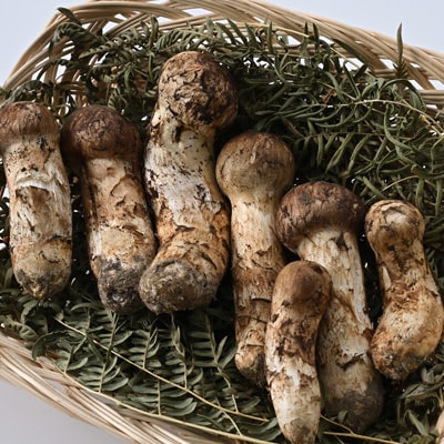 【自家用】岩泉まつたけ 300g