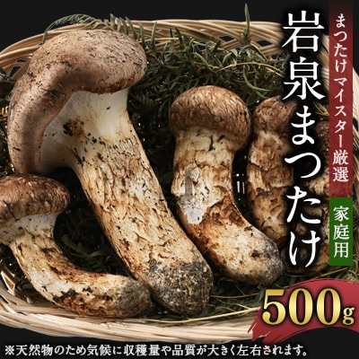 【自家用】岩泉まつたけ 500g
