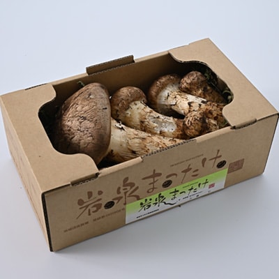 【自家用】岩泉まつたけ 500g