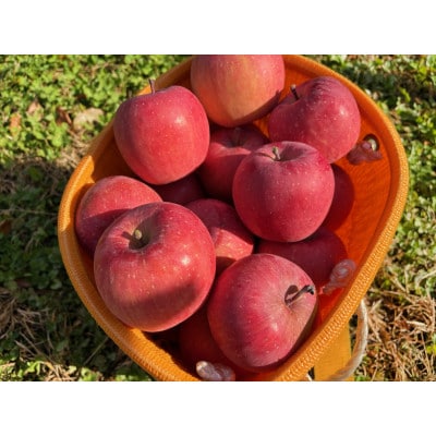 したみち農園 / りんごジュース 果汁100% 180ml×6本セット