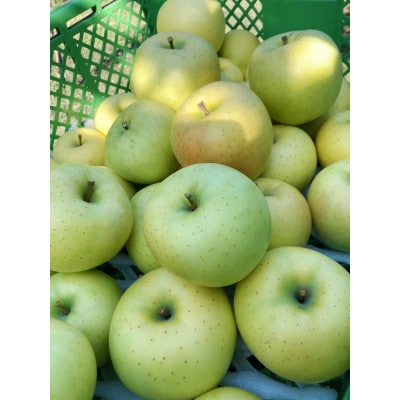 したみち農園 / りんごジュース 果汁100% 180ml×6本セット