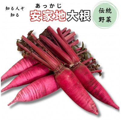岩手県岩泉町【安家地大根】5本セット