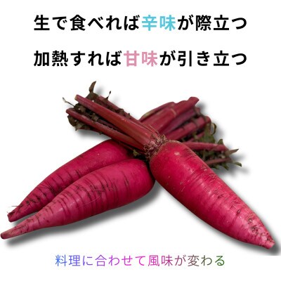 岩手県岩泉町【安家地大根】5本セット