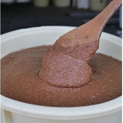 岩泉みそ〔特選〕900g×2パック  18ヶ月長期熟成 天然醸造 無添加味噌 発酵生味噌 自家製米麹