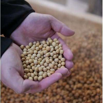 岩泉みそ〔並・特 食べ比べ〕900g×2パック 18ヶ月長期熟成 天然醸造 無添加味噌 発酵生味噌