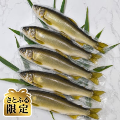 【さとふる限定】岩手岩泉小本川育ちの天然あゆ 600g