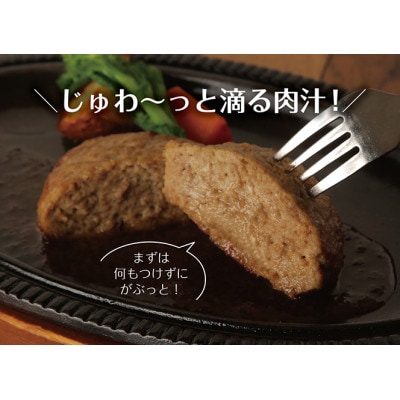 サイボクゴールデンポーク　ハンバーグセット　130g×5個