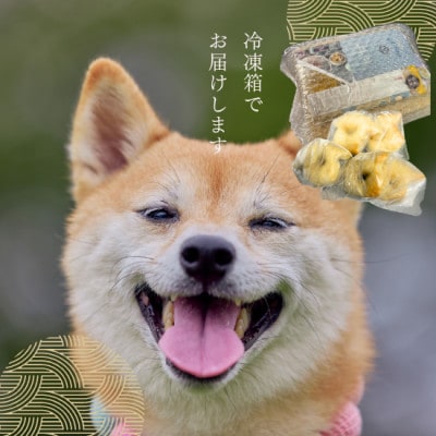 愛犬用無添加ベーグル【わんべ!】10個セット