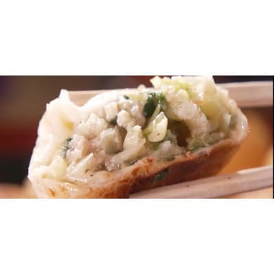 【毎月定期便】餃子のはながさ「ホワイト餃子」16個×2パック 全2回