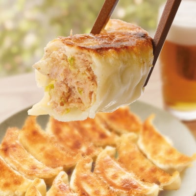 プレミアム冷凍生餃子72個(SAIBOKU×ぎょうざの満洲)