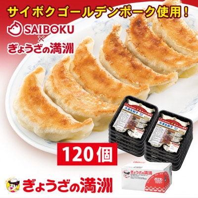 プレミアム冷凍生餃子120個(SAIBOKU×ぎょうざの満洲)