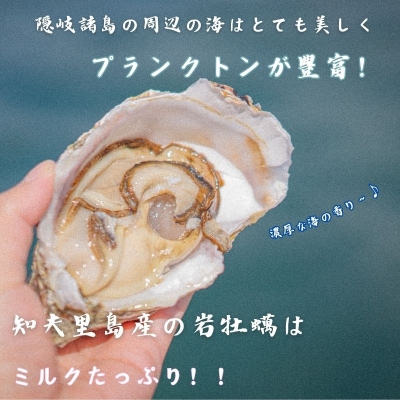 【知夫里島産 岩牡蠣 2kg】ブランド 岩牡蠣 生食可 牡蛎 牡蠣 かき