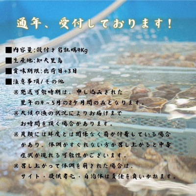 【知夫里島産 岩牡蠣 2kg】ブランド 岩牡蠣 生食可 牡蛎 牡蠣 かき