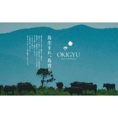 【隠岐牛プレミアム生ハンバーグ 6個】900g 天然塩付 島生まれ島育ちのブランド黒毛和牛 隠岐牛