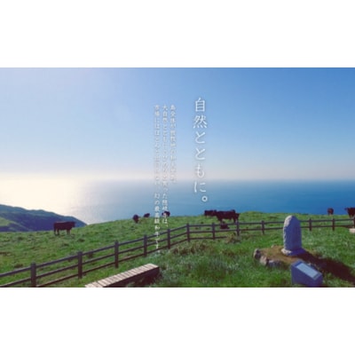 【隠岐牛プレミアム生ハンバーグ 6個】900g 天然塩付 島生まれ島育ちのブランド黒毛和牛 隠岐牛