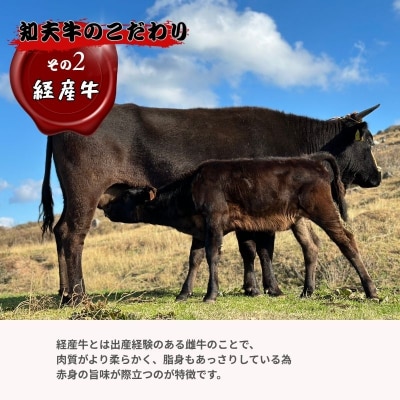【知夫里島産】 知夫里島 経産牛 ヒレステーキ 300g 