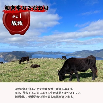 【知夫里島】経産牛肩ローススライス肉500g