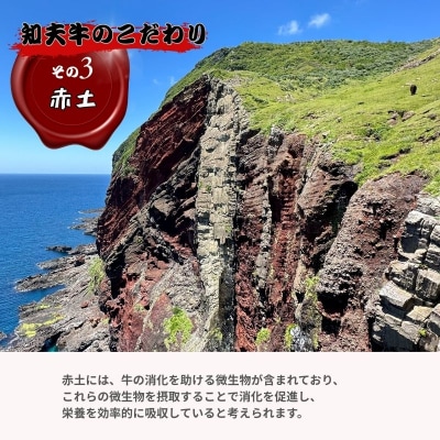 【知夫里島】経産牛肩ローススライス肉500g