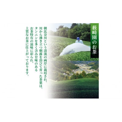 藤枝市朝比奈産　茶道用　高級抹茶