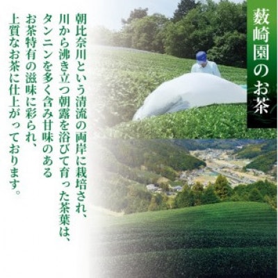 【静岡県産 静岡茶】玉露入煎茶 ティーバッグ 水出し茶にもおすすめ!　3袋(18パック入り)
