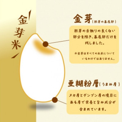静岡県産　JAおおいがわ「金芽米5kg(無洗米)」・「JAおおいがわのお茶80g」セット