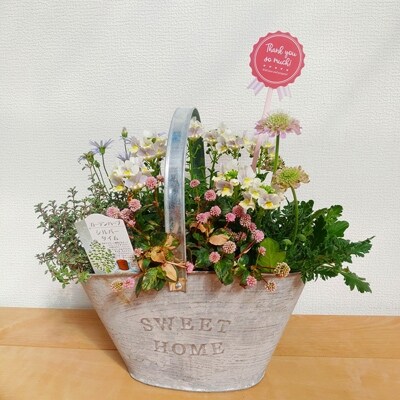 母の日に フレグランスブーケ ブリキ容器寄せ植え お礼品詳細 ふるさと納税なら さとふる