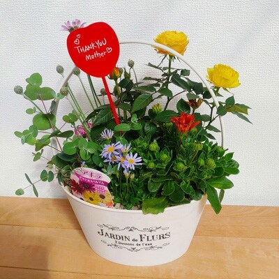 母の日に Dearブリキ手付きバスケット寄せ植え お礼品詳細 ふるさと納税なら さとふる