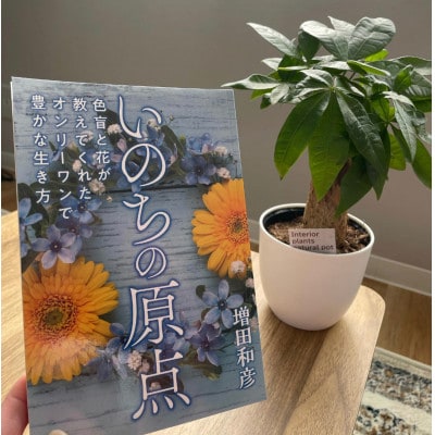 観葉植物鉢植えとamazonベストセラー 著作本(いのちの原点)のセット「読者特典動画視聴サービス付