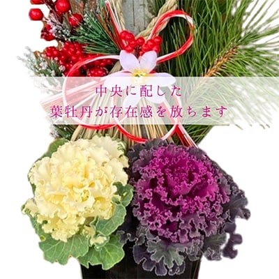 迎春・お正月用門松寄せ植え6号 　60cmタイプ