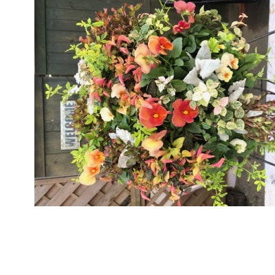 【発送月固定定期便】【春・秋2回】ハンギングバスケット寄せ植え全2回