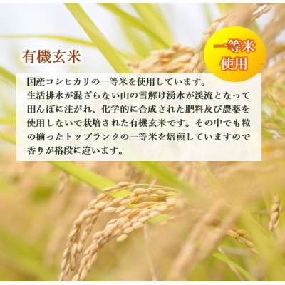 原料にこだわった★オーガニック玄米茶(抹茶入)　200g・5袋セット 【岡部茶】