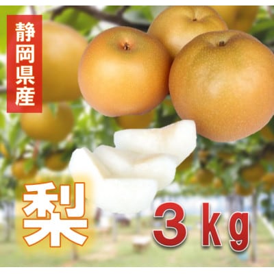 2025年8月中旬以降発送 静岡県産 梨 3kg
