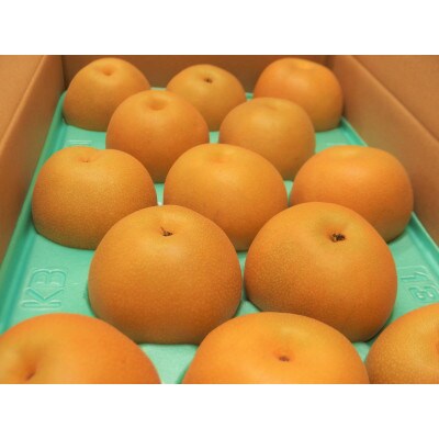 2024年8月上旬発送 静岡県産 梨 3kg