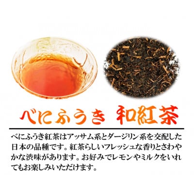 べにふうき　和紅茶ティーバッグ(2.5g10包) 5袋セット