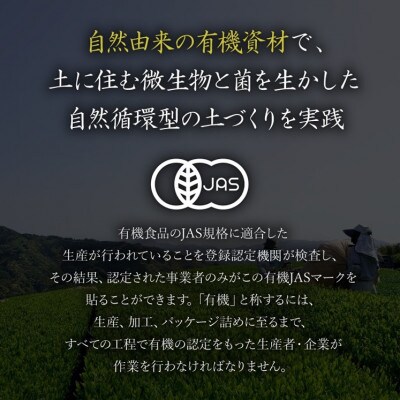 2025年産『新茶』オーガニック茶500g (100g5袋) 一番茶 岡部茶