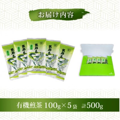 2025年産『新茶』オーガニック茶500g (100g5袋) 一番茶 岡部茶